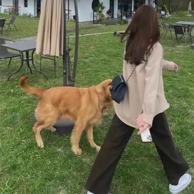同学来了